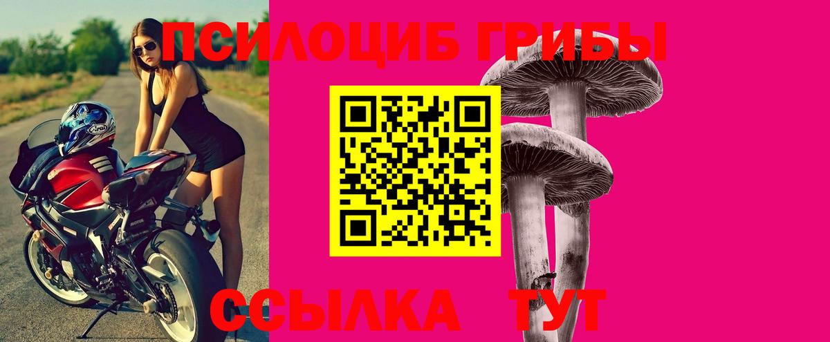 Галлюциногенные грибы прущие грибы  Галлюциногенные грибы мицелий  Вход с VPN  Бирск 